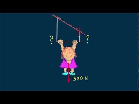 Hewitt-Drew-it! PHYSICS 3. Net Force & Vectors