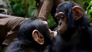 17K views · 96 shares | Caption This!  | Alicia Silverstone | Facebook