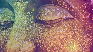 Electronic Buddhism | Jason Silva