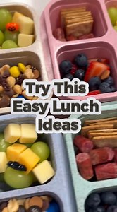 Easy Lunch Ideas Adult Lunchables School Lunch Sum