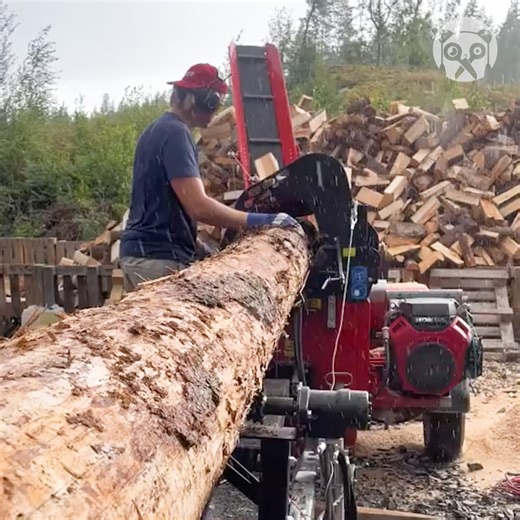20K views · 32 reactions | Cutting & splitting trees using a firewood processor | Bored Panda Art | Facebook