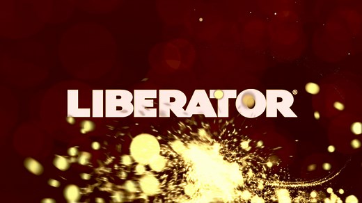 Liberator Wedge and Ramp Combo Sex Positioning Cushions at Betty's Toy Box