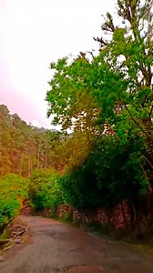 Beautiful Pahadi Videos on Reels