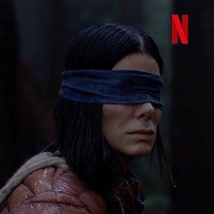 4.1K reactions · 699 shares | Tu peor miedo se acerca. Bird Box: A Ciegas, disponible el 21 de diciembre. | Netflix | Facebook