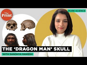 This 1,46,000-year-old ‘Dragon Man’ skull changes what we know about human evolution