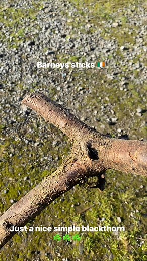 158 reactions | Brian Leavy on Reels | Facebook