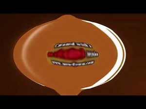 (REQUESTED) Full Best Animation Logos in I Killed Too Ruins Tree