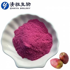 [Hot Item] 100% Pure Natural Free Sample Cactus Powder Cactus Fruit Powder