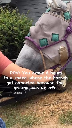 Be a barrel racer they said. It’ll be fun they said. In all seriousness I’m thankful they canceled it to keep us all safe and to check on those who had falls but it was just a little aggravating. But hey they ---------------- https://amzn.to/4qvpbee | Ride With Sheridan