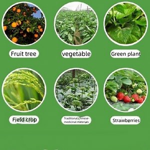 [Hot Item] CAS No. 68359-37-5 Exterminate Bugs Beta-Cyfluthrin Raw Material 95% Tc Technical