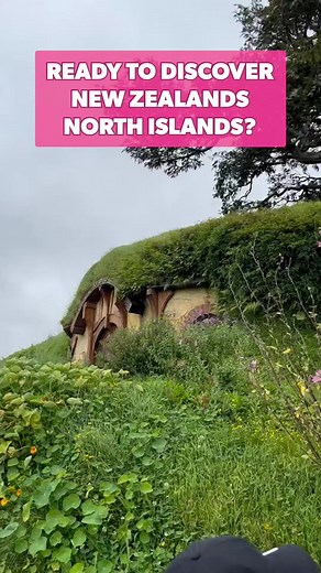 Discover New Zealand’s scenic North Island with a group of like-minded gay men. Beginning in Auckland, this all-gay New Zealand tour will leisurely guide you around the North Island. Together we’ll walk in the footsteps of the Māori, appreciating their sacred groves, kauri forests and geothermal pools. Over a traditional hāngi meal, we’ll break bread with a village elder and learn the traditional haka dance. We’ll visit Hobbiton and wander around the Shire where Frodo and Bilbo’s adventures bega