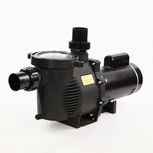 [Hot Item] 2.5HP High Performance 220V Swimming Pool Pump 32m3/H Filter Garden Inground and Above Ground Pools Water Pump