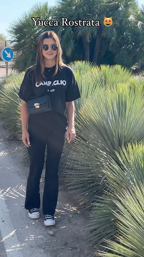 YUCCA ROSTRATA - wysokość z donicą 150 cm, wysokość pnia 40 cm 🤟🏻 mrozoodporna w gruncie do -20 stopni 🩵 Zapraszamy do kontaktu! 😊 📍 Sworawa 15, 99-200 Poddębice (wjazd od ul. Łęczyckiej) 📲 576 460 200 💌 palmoweogrody@gmail.com #palmoweogrody #palmoweogrodypl #palmy #palmywpolsce #ogród #garden #tropical #exoticpalms #egzotyka #egzotykawpolsce #rośliny #palmymrozoodporne #palmymrozoodpornewpolsce #łódź #palmawogrodzie #prezent #pomyslnaprezent | Palmowe Ogrody