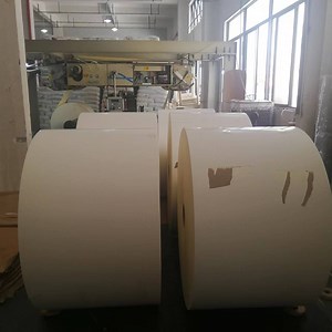 [Hot Item] Food Grade Paper Roll
