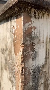 Phool Chowki mosque Mayenpur, Mithapukur, Rangpur, Bangladesh. Built around 1822 | Vintage Bangladesh