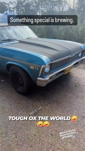 Keep your eyes peeled for something a little naughty… | Pro-XL