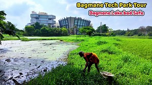 Bagmane Tech Park Tour | CV Raman Nagar | Tree Building Tech Park in Bangalore | Bagmane Lake #bagmane #bagmanetechpark #bangalore #lake #bagmanelake #hp #hpinc #hpindia #techpark #bangalore #karnataka | South Tube | Facebook