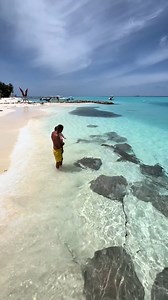 27K views · 385 reactions | Thoddoo maldives beach  @almeji11/ IG | Best Destinations To Travel | Facebook