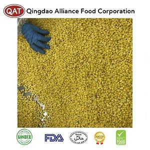 [Hot Item] Premium IQF Frozen Sweet Corn Kernels for Global Distribution