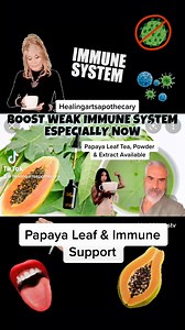 Papaya Leaf Tea and Papaya Leaf Extract, order here! Benefits: Immune Booster• Anti-Inflammation • Cancer/HIV Support • Improves White Blood Cell Count • Reduces Fever #HealthBossTV #HealingArts #HealingArtsApothecary #Healingartsme #Healthbosstv #BeYourOwnHealthBoss #Health #Papaya #PapayaLeaf #PapayaTea #Tea | Healing Arts | Facebook