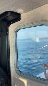 “Dualies” aka double breach | SeaSalt Charters