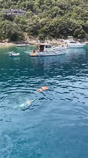 The Funniest Pranks You’ll See Today!😂 | Aussie Four Wheelers