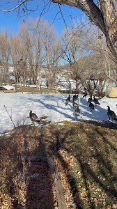 1.5K views · 127 reactions | Cheryl Hunter on Reels | Facebook