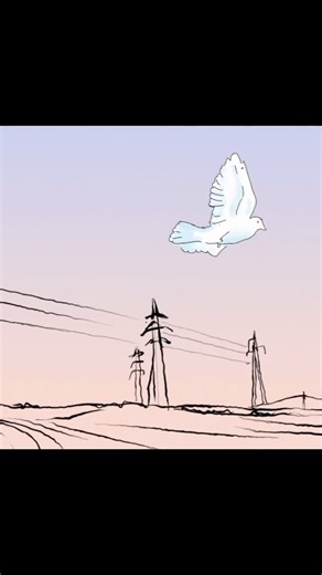 1.5K views · 207 reactions | Sharon Corr on Reels | Facebook