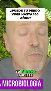  ¿TE GUSTARIA QUE TU PERRO VIVIESE HASTA LOS 80 AÑOS? Descubre el...