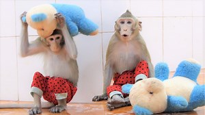 the n!ght is cominq, dalton feeling very worry to call mom very sad voice, | Little Dalton