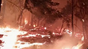 Santa Cruz County Resident Outruns CZU Complex Fire