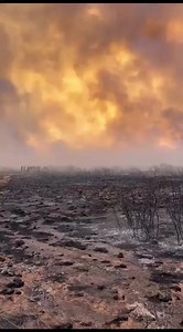 Tragedy at Lohatla | DFA