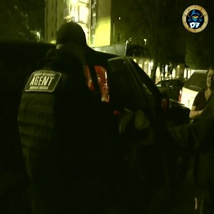 2.8K views · 103 reactions | Found smelling dirty laundry | Lizard Home | Facebook