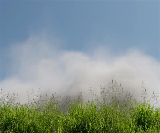 ArtStation - Animated VDB Cumulus Cloud | Game Assets