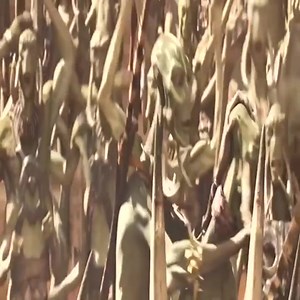 51 reactions | Top new action movie clips Netflix 2023 | Burnt Orange | Facebook