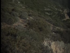 Going back to the corner | Ｔｉｍ