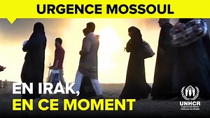 309K views · 643 shares | UNHCR, the UN Refugee Agency on Reels | Facebook