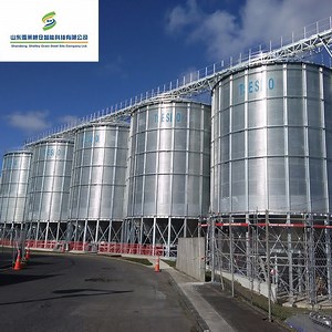 [Hot Item] Grain Rice Silo Flour Silo Manufacturers for Animal Feed 100 Ton 500ton Grain Silos Prices