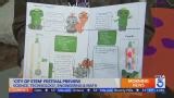 2025 City of STEM Preview