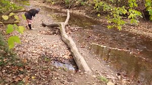 Buttercup BBW: Up Squirt Creek Pt. 2