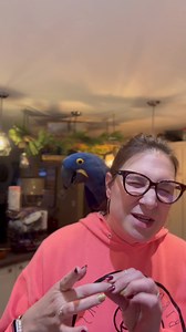 4.5K views · 182 reactions | Sarah is having trouble getting her finches off the seed and on to pellets. #parrotrescue #BirdsAndBeaksnation | Birds and Beaks Rescue and Rehab | Facebook