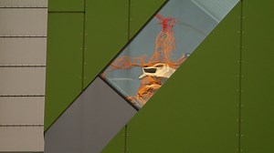 Audits are now underway in most states to identify buildings with combustible cladding. Watch this 360 video to find out why. | Four Corners