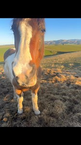 What are my chances? 😆 | That Dickhead Harley