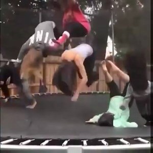 376K views · 799 reactions | Holy cow! | Best Web Moments | Facebook