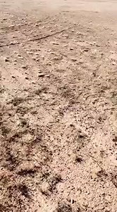 󾆰 Area JGR 󾁈 Somewhere in the remote Arizona desert, Phoenix cars are swapped for Fontana cars. | Joe Gibbs Racing