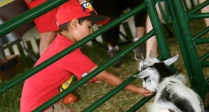 Volunteers Needed at the Morris County 4-H Fair