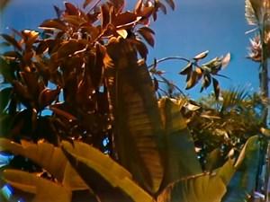 Minnie Riperton - Lovin' You 1975 Velharia | 𝕍𝔼𝕃ℍ𝔸ℝ𝕀𝔸