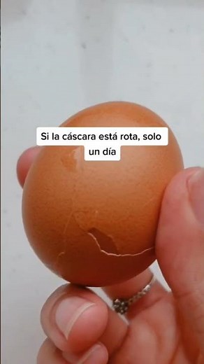 ¡Atención! Si guardas huevos cocidos mira esto