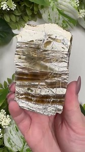 Arizona Pietersite Slab - #2 - Etsy Canada