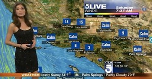 Watch A Meteorologist Get Shamed For Daring To Show Skin On Live TV